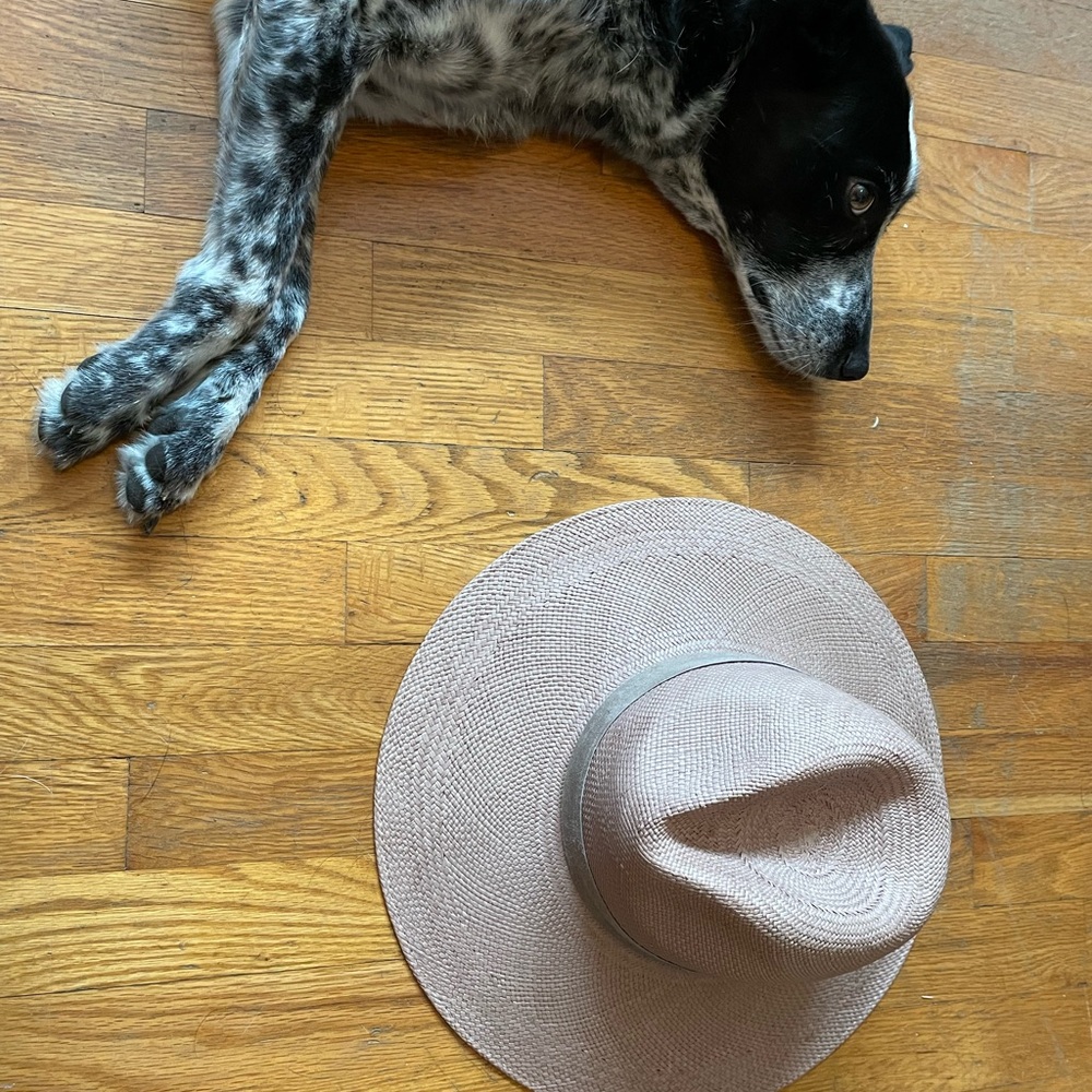 Stylish Beige Wide-Brim Hats